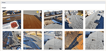 Photo Organization Interface